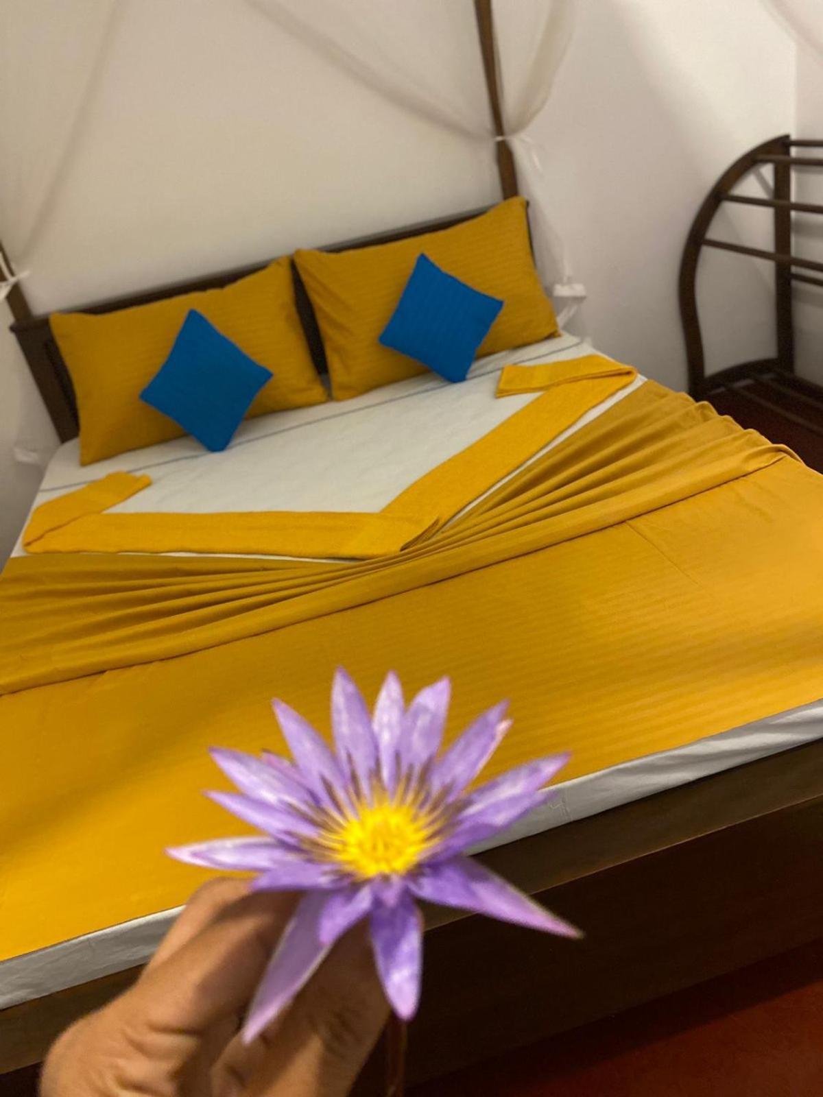 Perfect Home Mirissa Εξωτερικό φωτογραφία